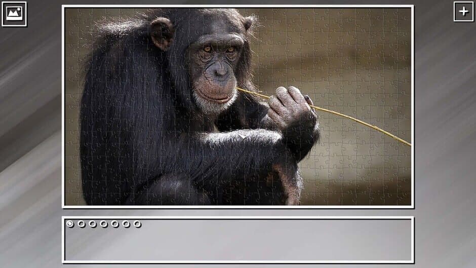 Super Jigsaw Puzzle: Generations - Monkeys & Apes Puzzles screenshot 2