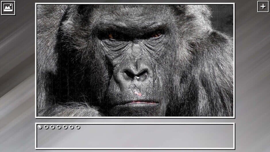 Super Jigsaw Puzzle: Generations - Monkeys & Apes Puzzles screenshot 3