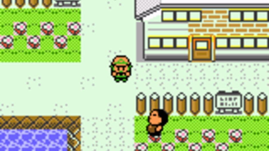 Pokémon Celebrations screenshot 3