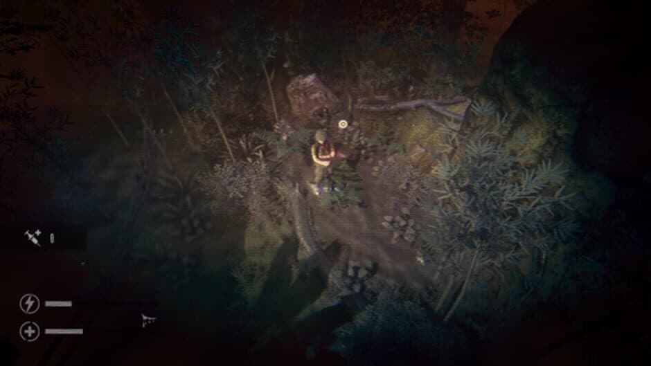 The Silent Jungle screenshot 3