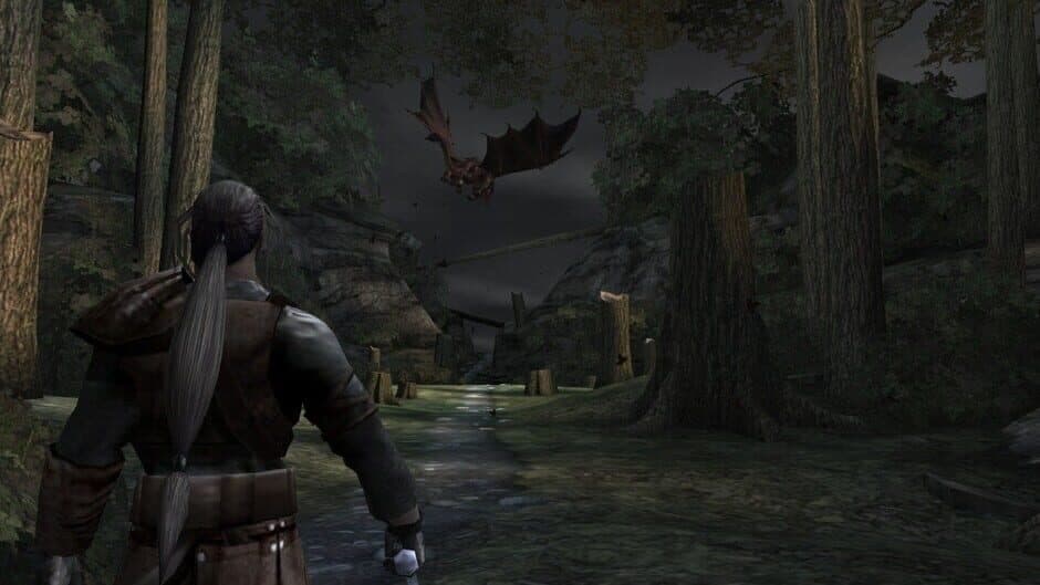 Forgotten Realms: Demon Stone screenshot 1