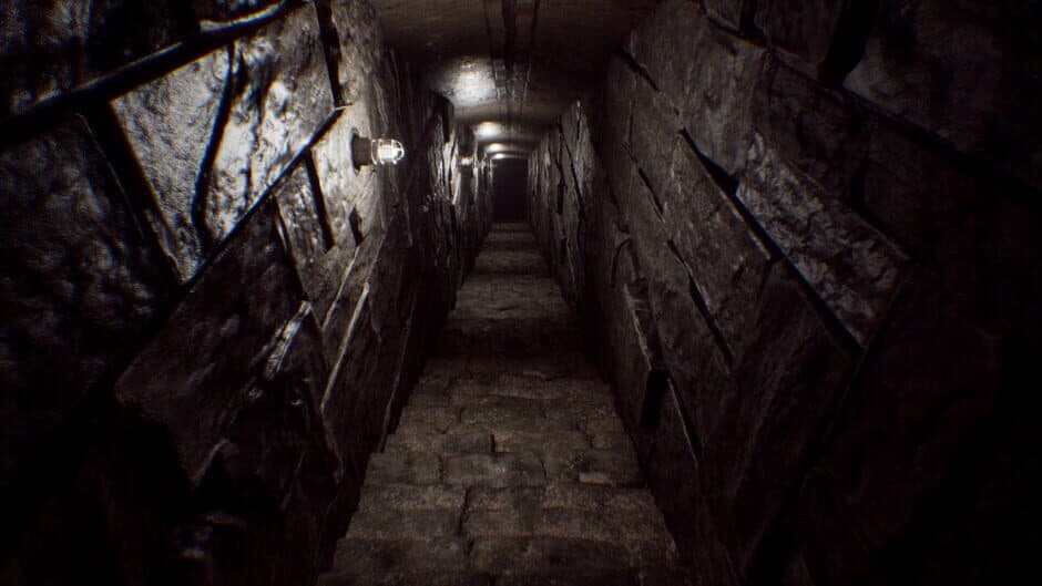 Forester: First Step screenshot 2