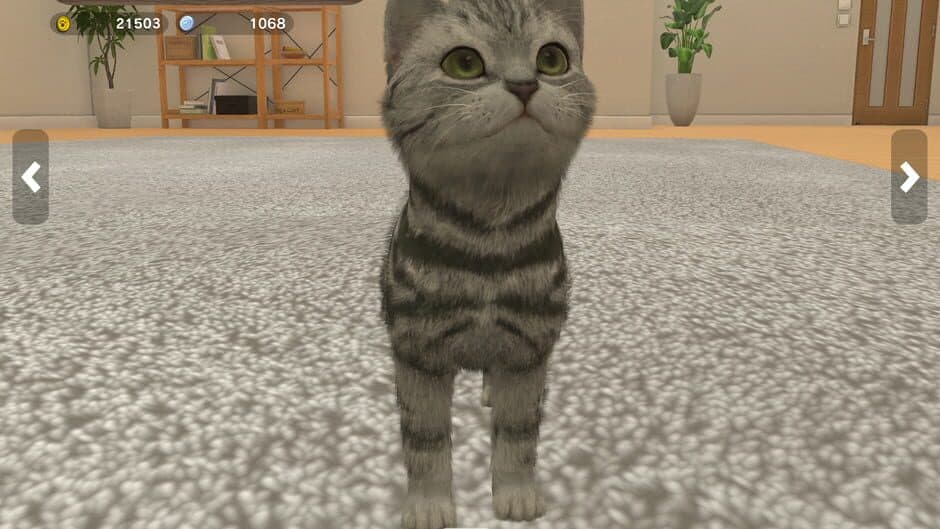 With My Buddy screenshot 3