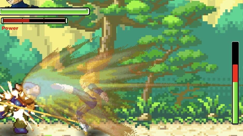 Dragon Ball Fierce Fighting screenshot 2