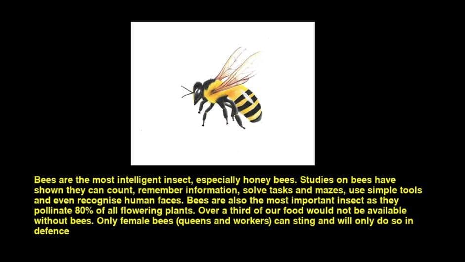 Quiz & Learn: Animals screenshot 1