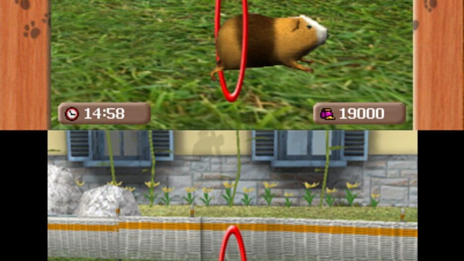 Me & My Pets 3D screenshot 2