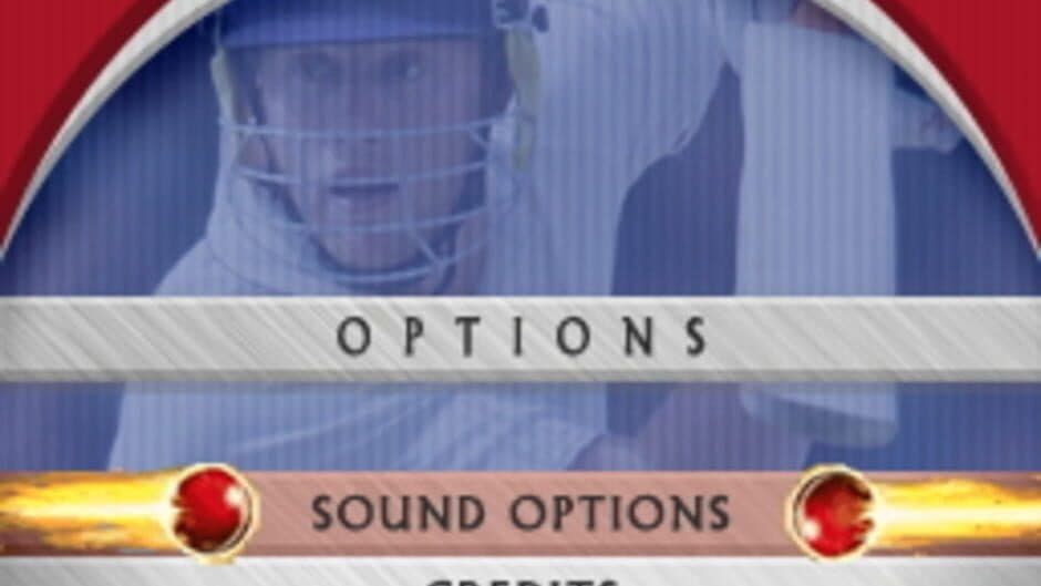 Freddie Flintoff's Power Play Cricket screenshot 3