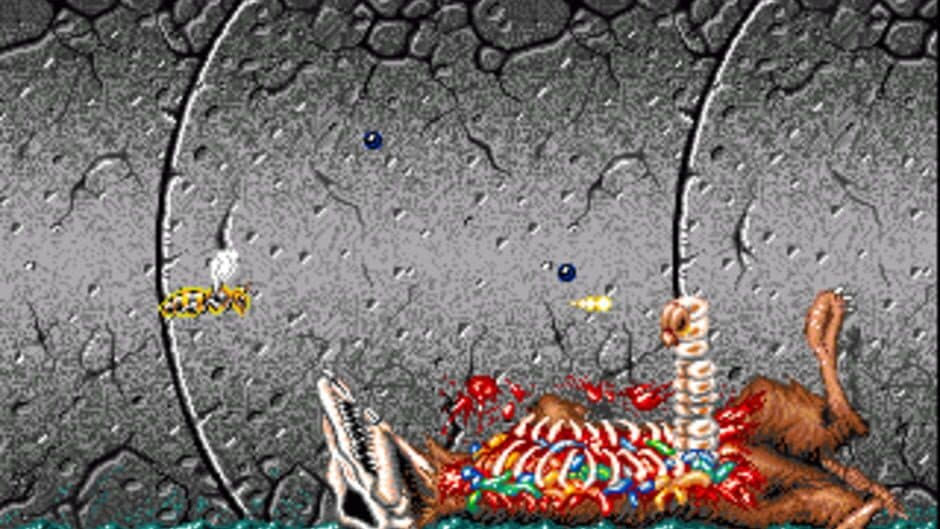 Apidya screenshot 1