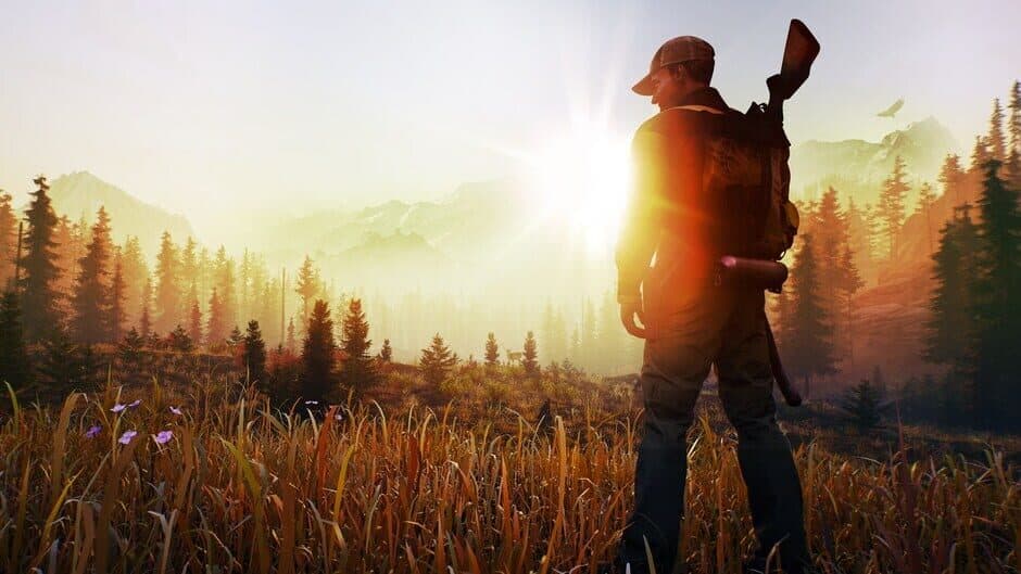 Open Country artwork 1