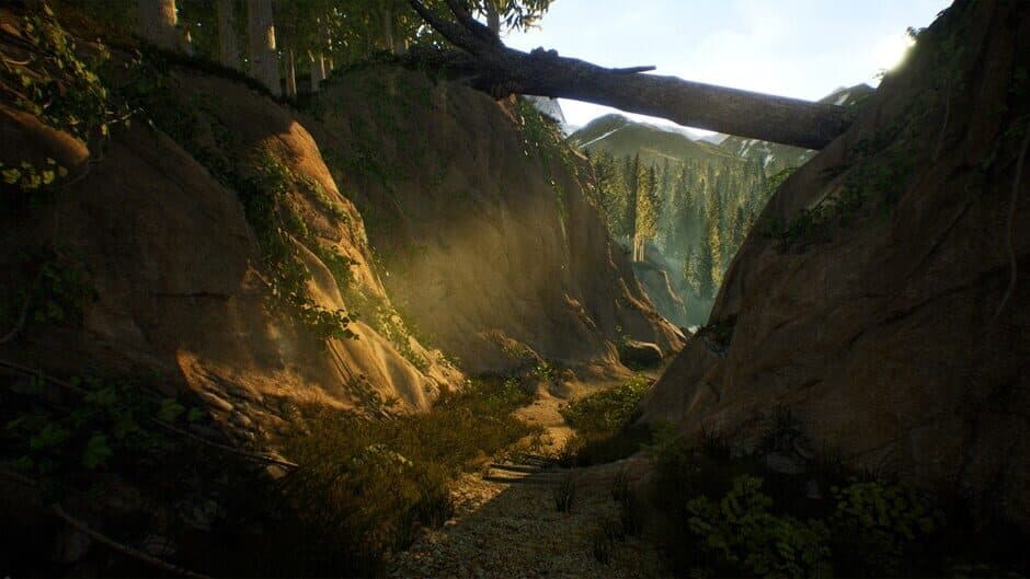 Treasure Hunter Simulator artwork 1