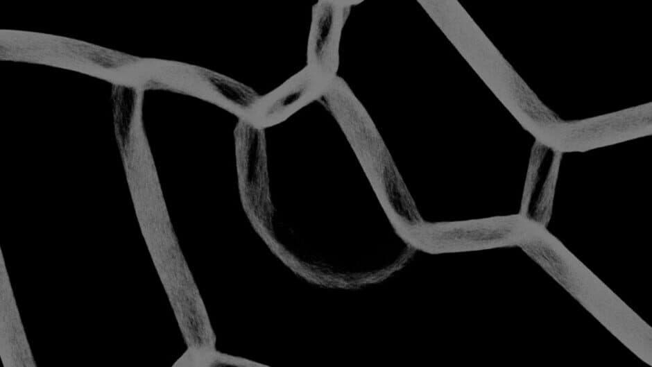 Physarum: Slime Mold Simulator artwork 1