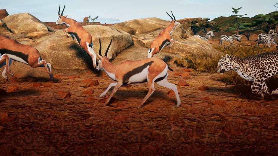 Animalia Survival artwork 1