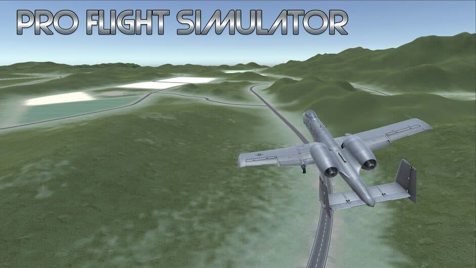 Pro Flight Simulator artwork 1