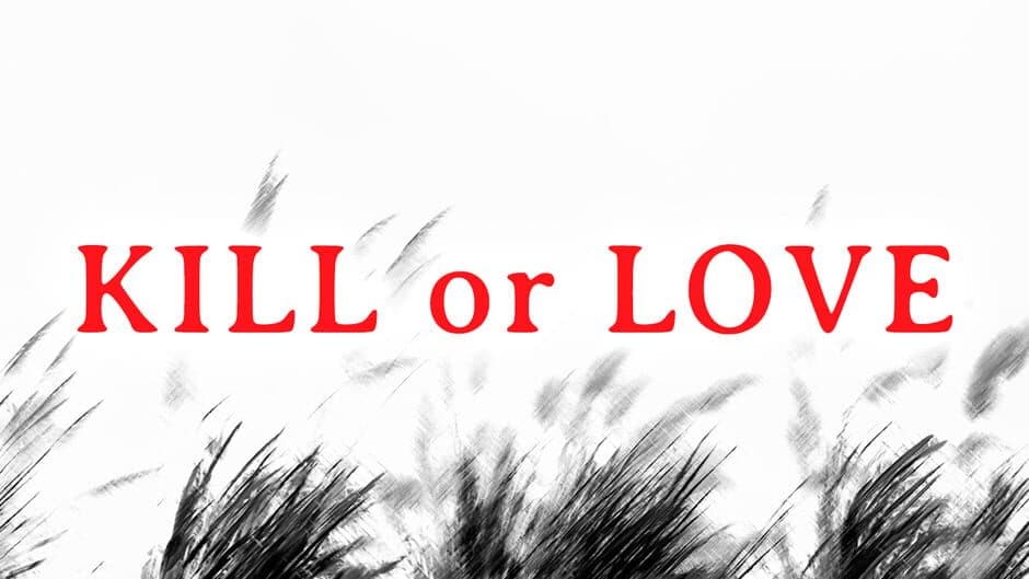 Kill or Love artwork 1