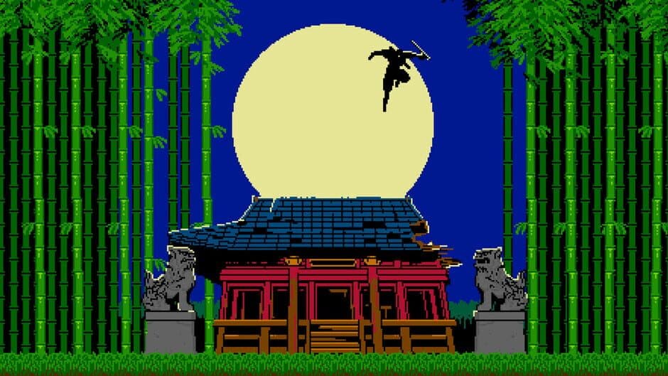 Shinobi Non Grata artwork 1