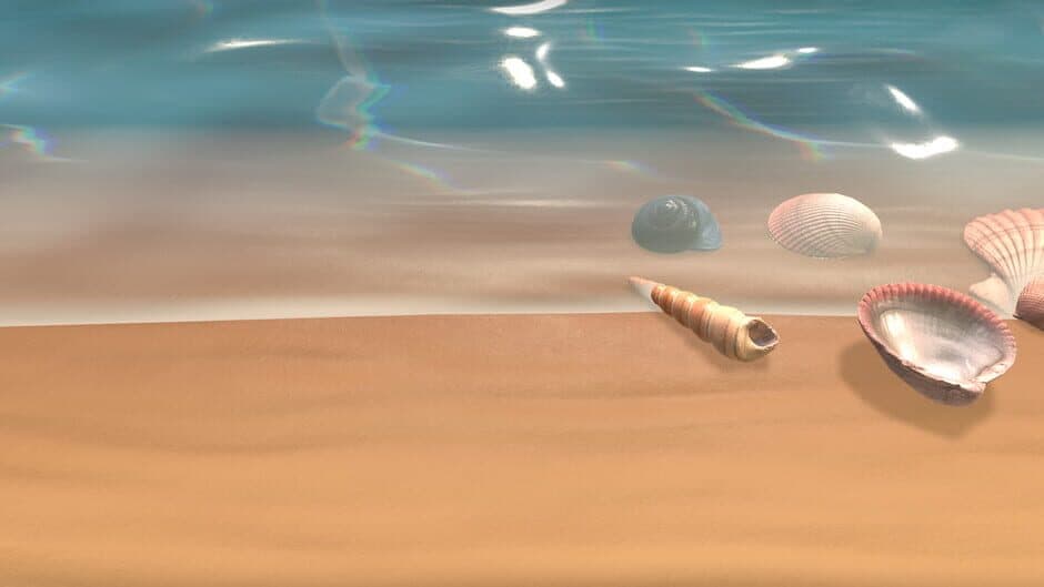 Seashell artwork 1