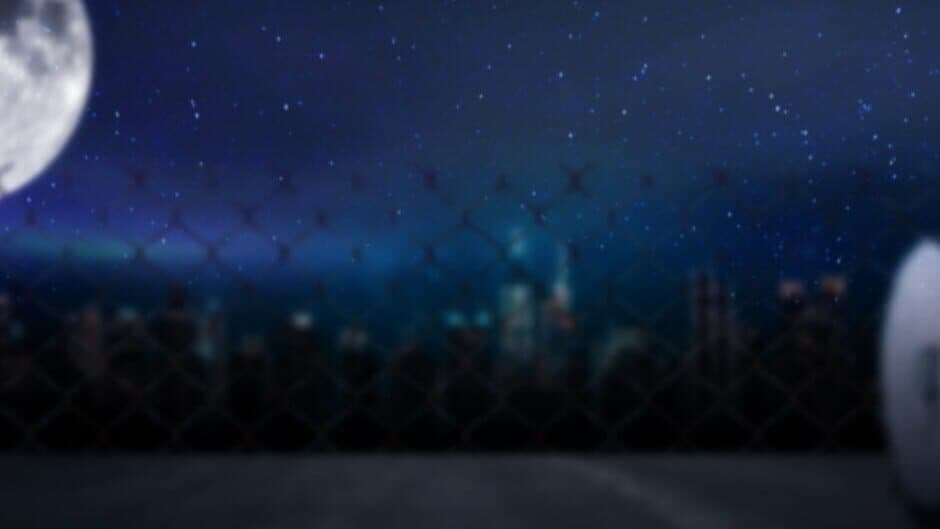 Raccoon Tales artwork 1