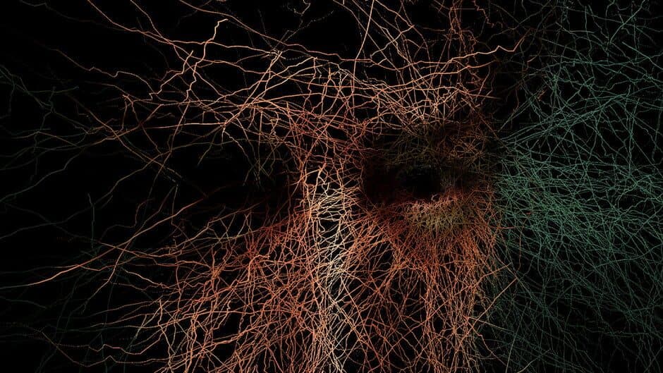 Immortelle artwork 1