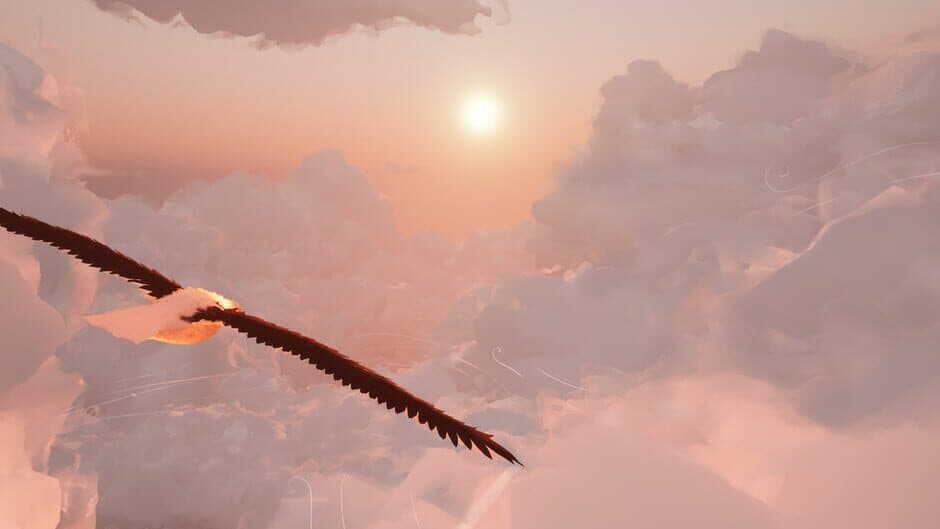 Toroa: Skycall artwork 1