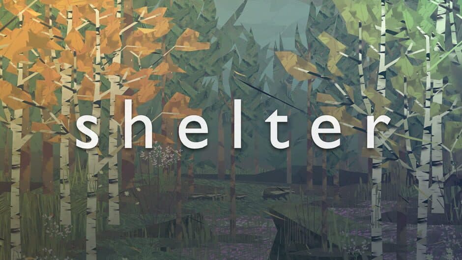 Shelter artwork 1