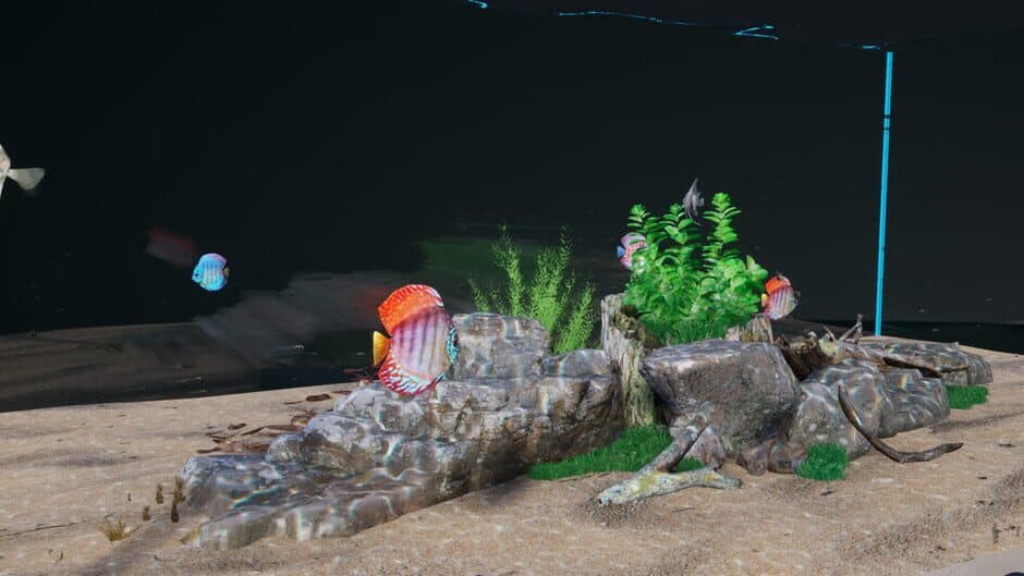 Aquascaping Designer artwork 1