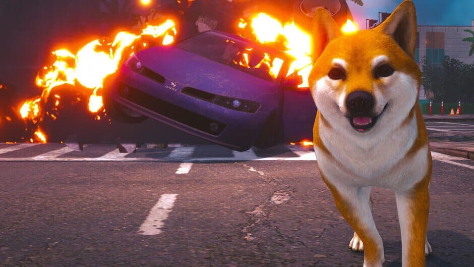 Doge Simulator artwork 1