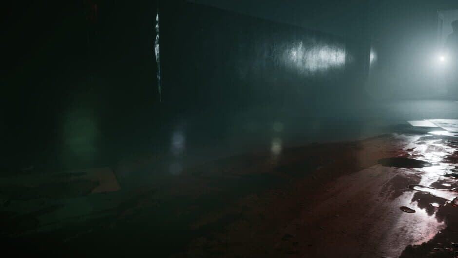 The Bridge Curse 2: The Extrication artwork 1