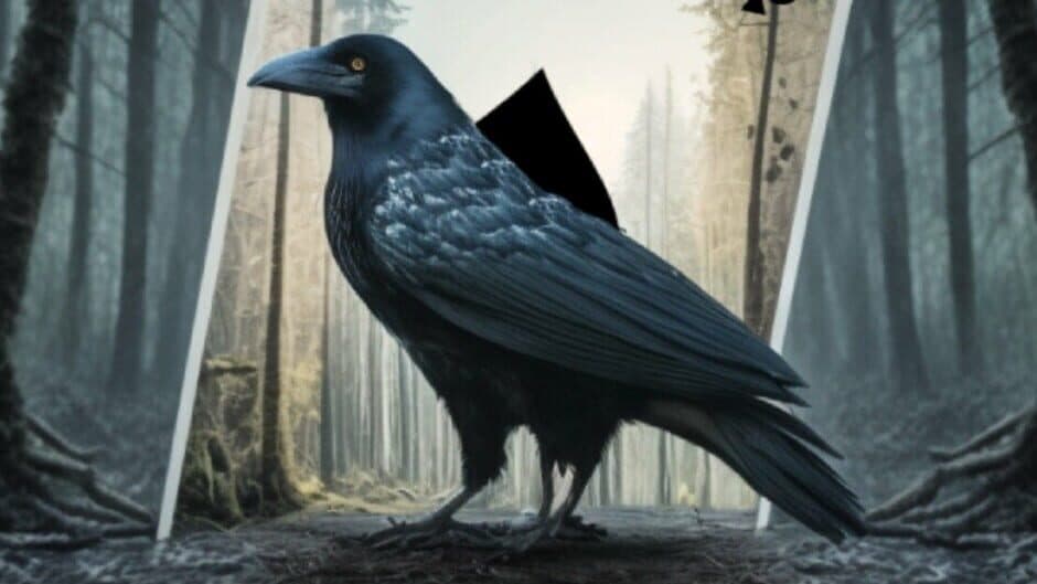 Mystery Solitaire: The Black Raven 5 artwork 1