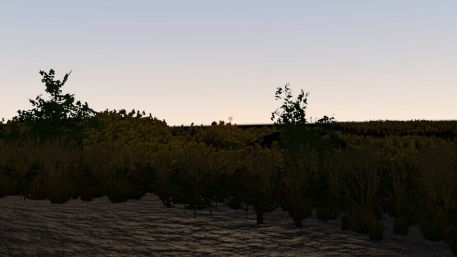 Totality artwork 1