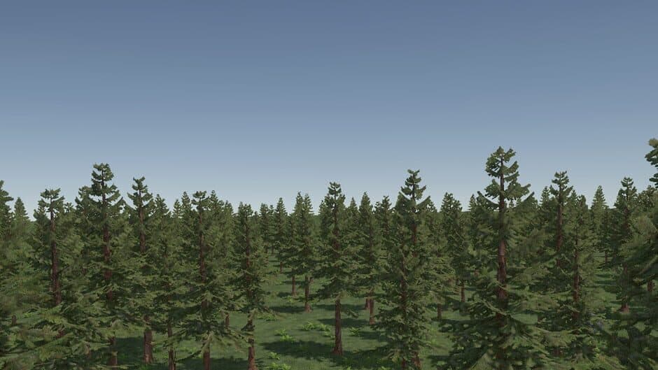 Backwoods Town artwork 1