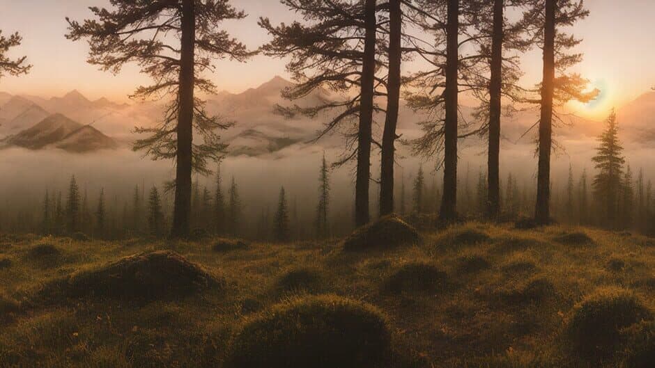 Evergreen South artwork 1