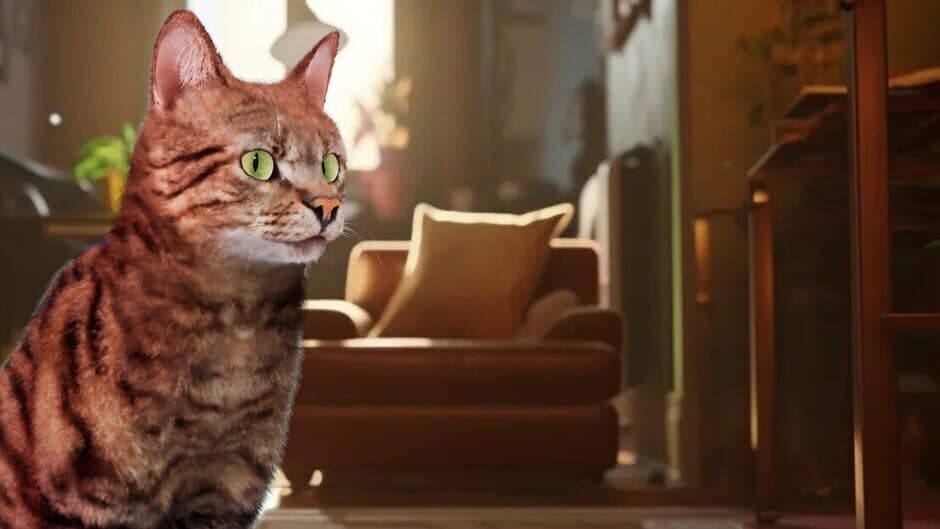 Cat Simulator: Kitty Conundrums artwork 1