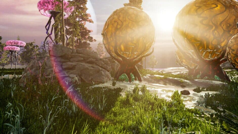 Novark artwork 1