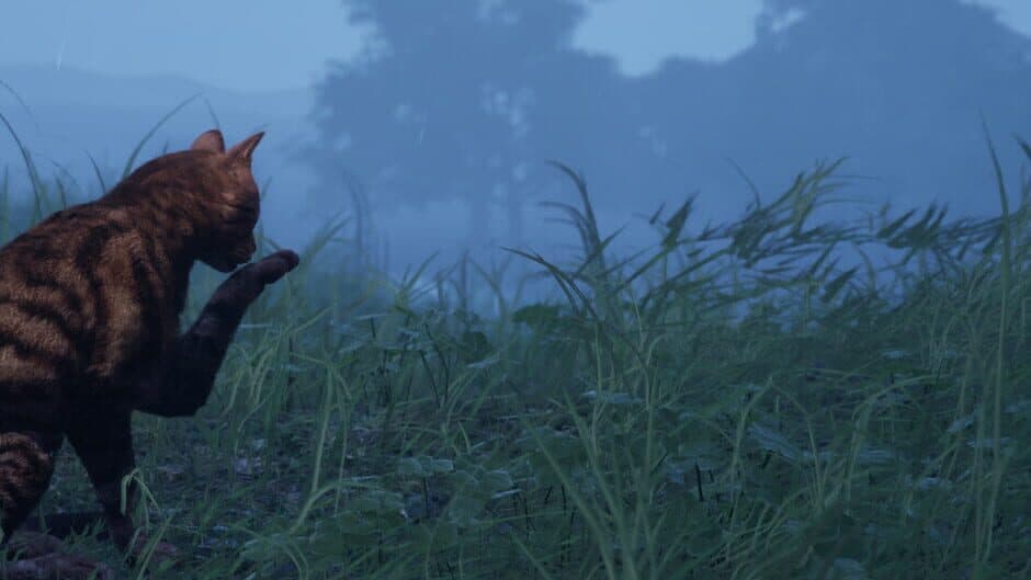 CozyCat Simulator artwork 1