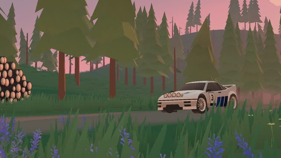 N3Rally artwork 1