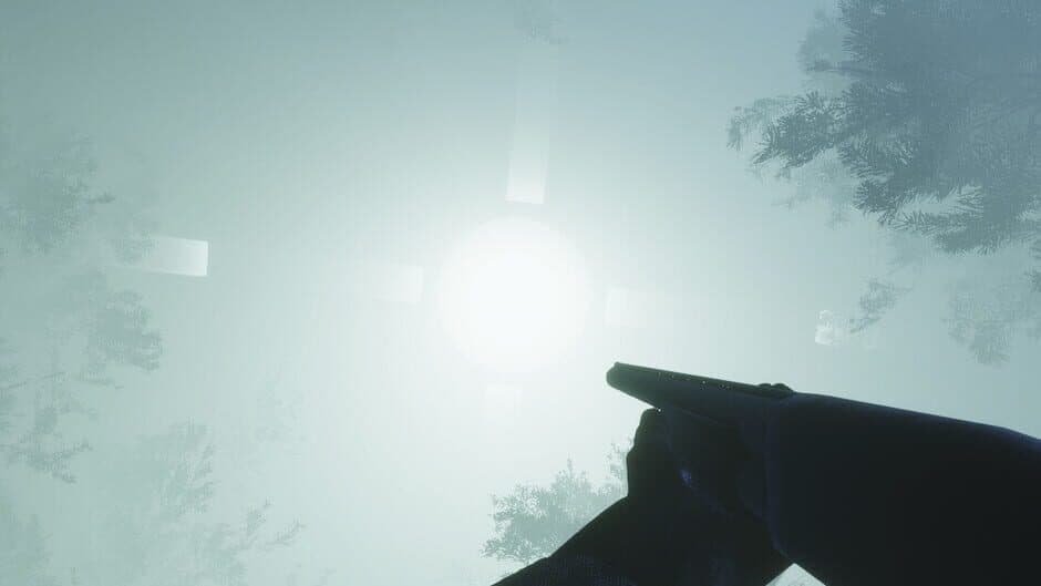 Lights In The Sky artwork 1