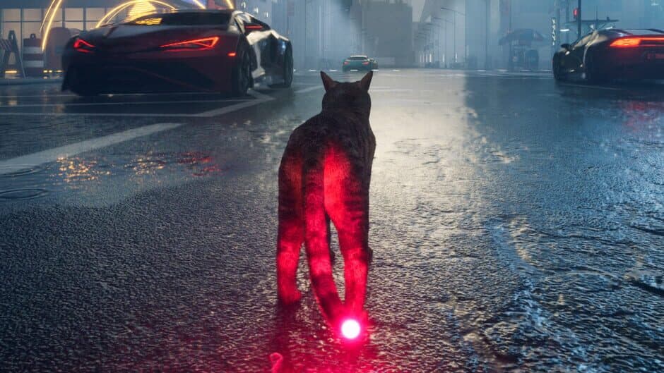 Cat Drift artwork 1