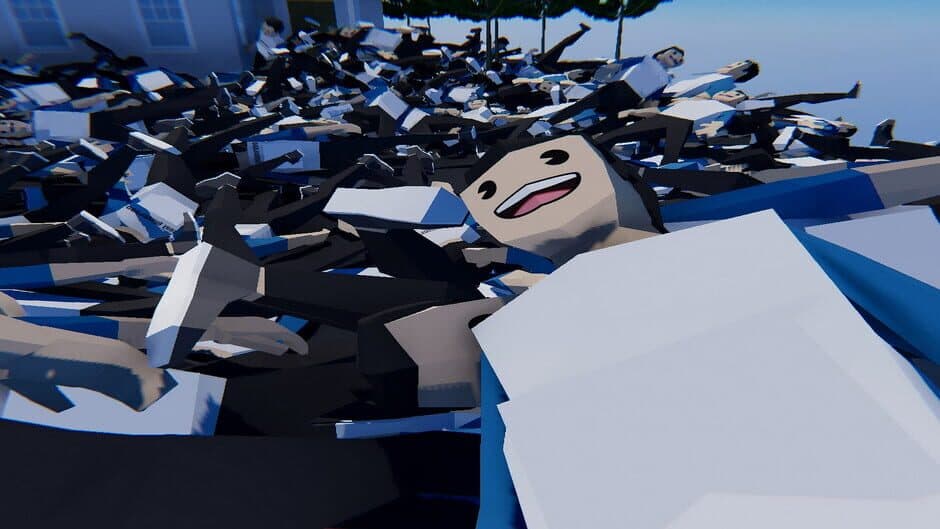 Chat Ragdoll Racing artwork 1