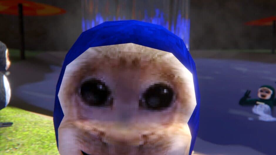 Capuchin artwork 1