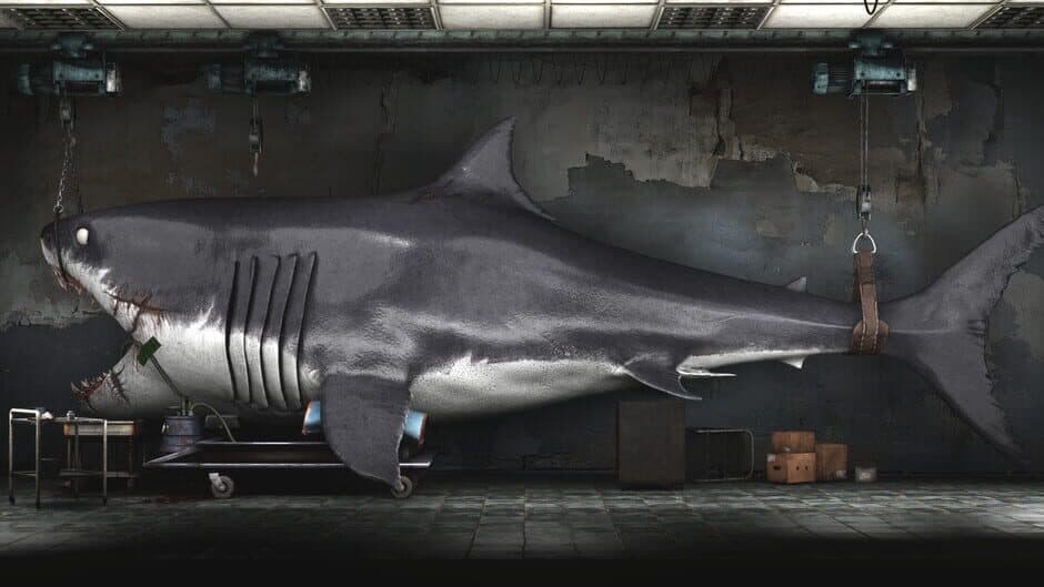 Shark Dentist artwork 1