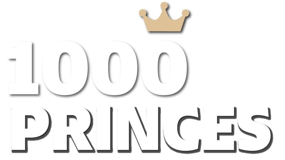 1000 Princes artwork 2