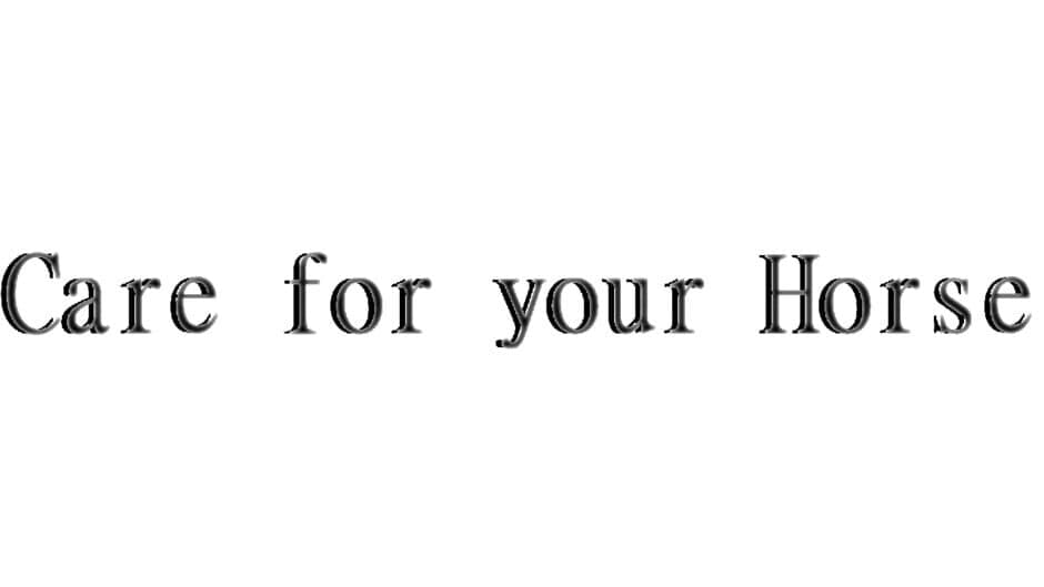 Care for your Horse artwork 2