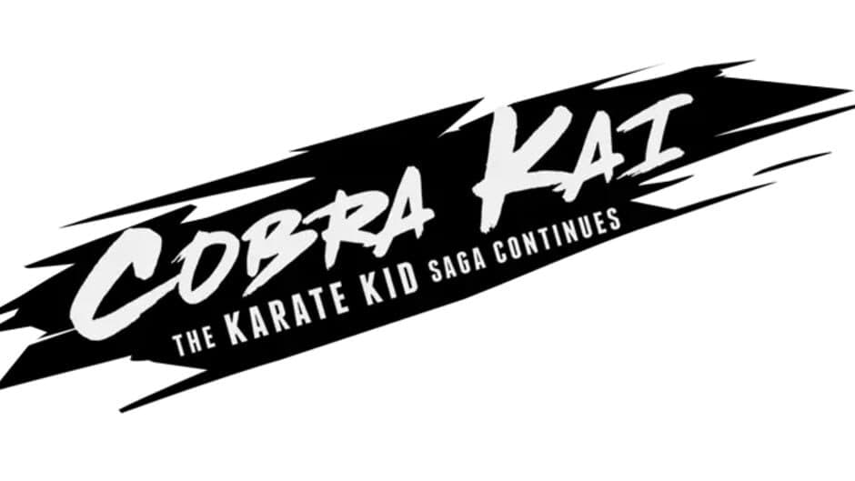 Cobra Kai: The Karate Kid Saga Continues artwork 2
