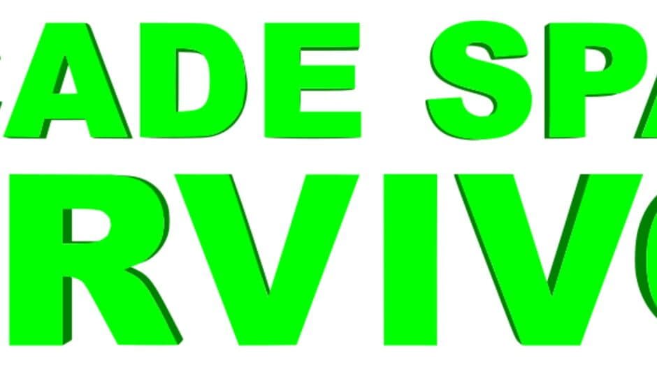 Arcade Space Survivor artwork 1