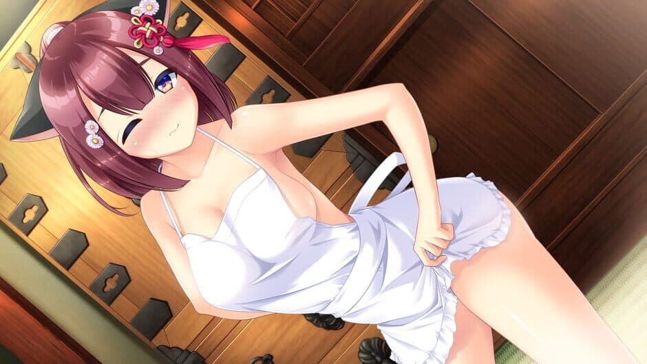 Lovekami: Healing Harem artwork 3