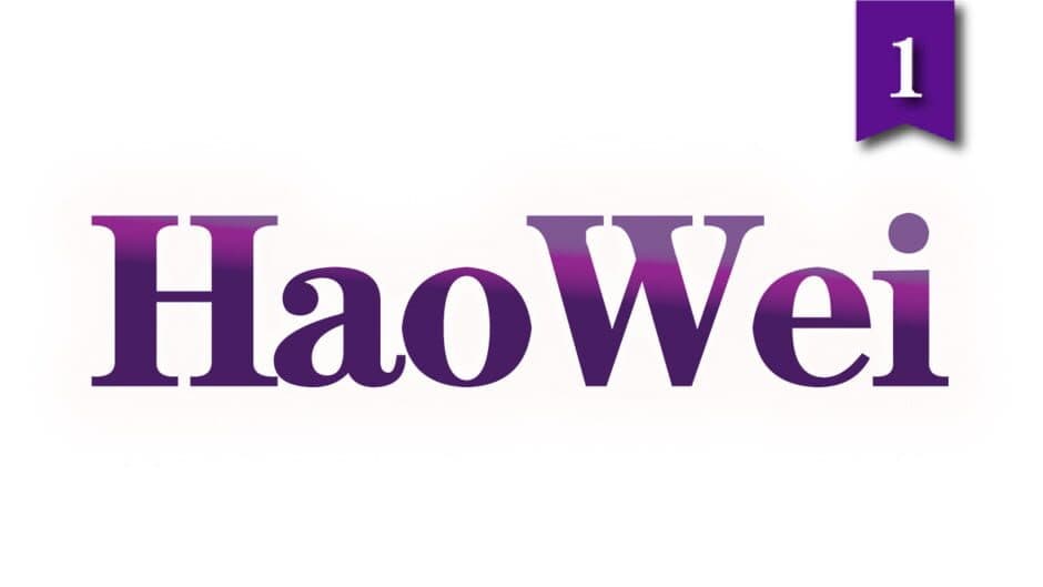HaoWei 1 artwork 2