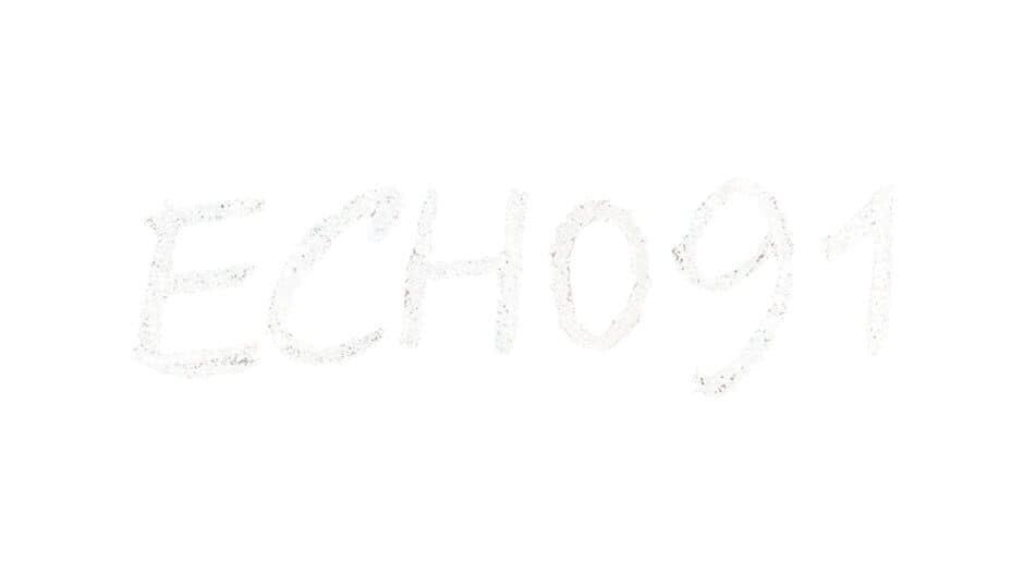Echo 91 artwork 2