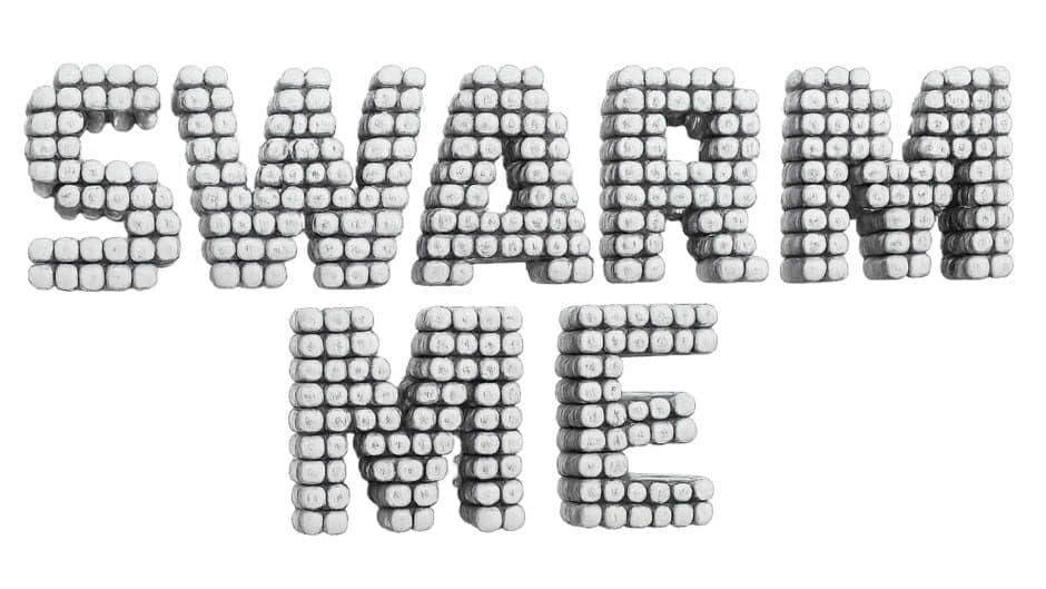 Swarm Me artwork 1