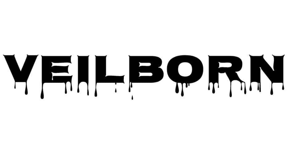 Veilborn artwork 2