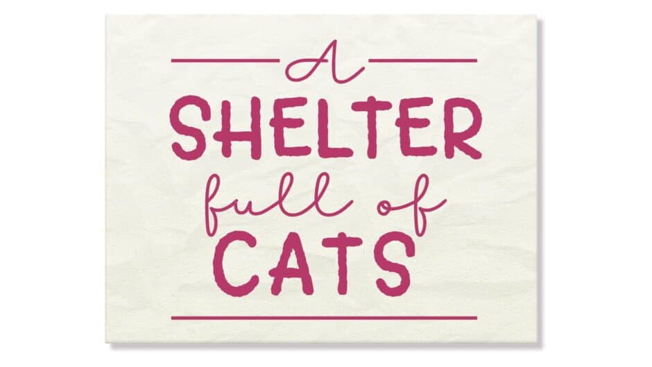 A Shelter Full of Cats artwork 2